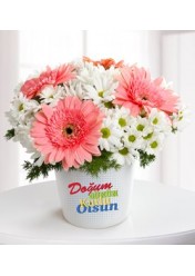 gerbera beyaz paptya