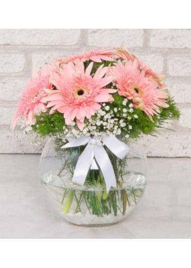 aşkpembesi  fanusta  pembe  gerbera