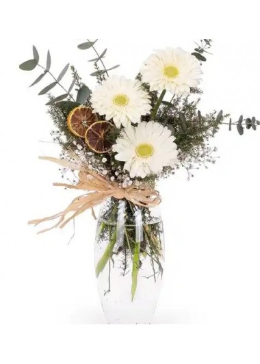 vazoda şık gerbera