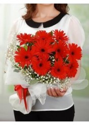 kırmızı gerbera buketi