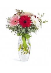 vazoda renkli gerbera lar