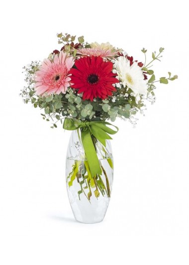 vazoda  renkli gerbera  lar