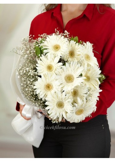 masum beyaz  gerbera  buketi