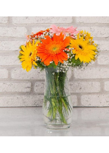 renk-cumbusu-gerbera-aranjmani-standart-boy